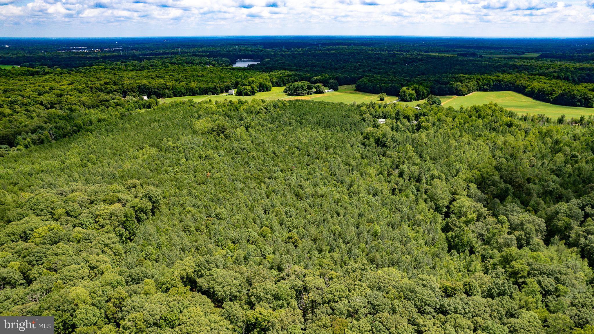 25.5-acres Ladysmith Road Ruther Glen, VA 22546 - Photo 13 of 42 Gallery Image 13