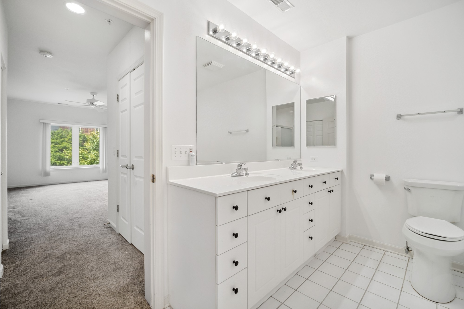 820 Weidner Road, Unit 304 Buffalo Grove, IL 60089 - Photo 12 of 18 a bathroom with a sink a toilet and a mirror