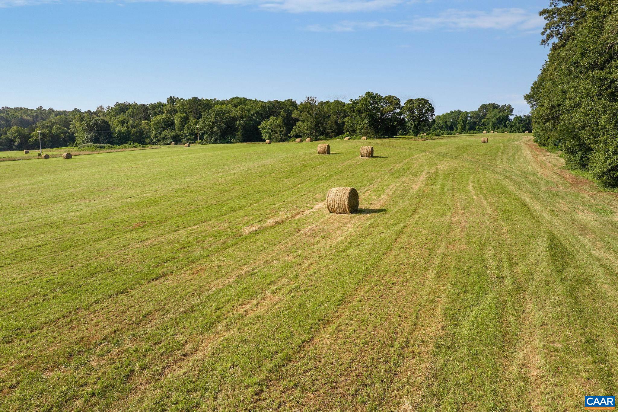 76.99-acres Coles Rolling Road Scottsville, VA 24590 - Photo 11 of 33 a view of an outdoor space and a yard