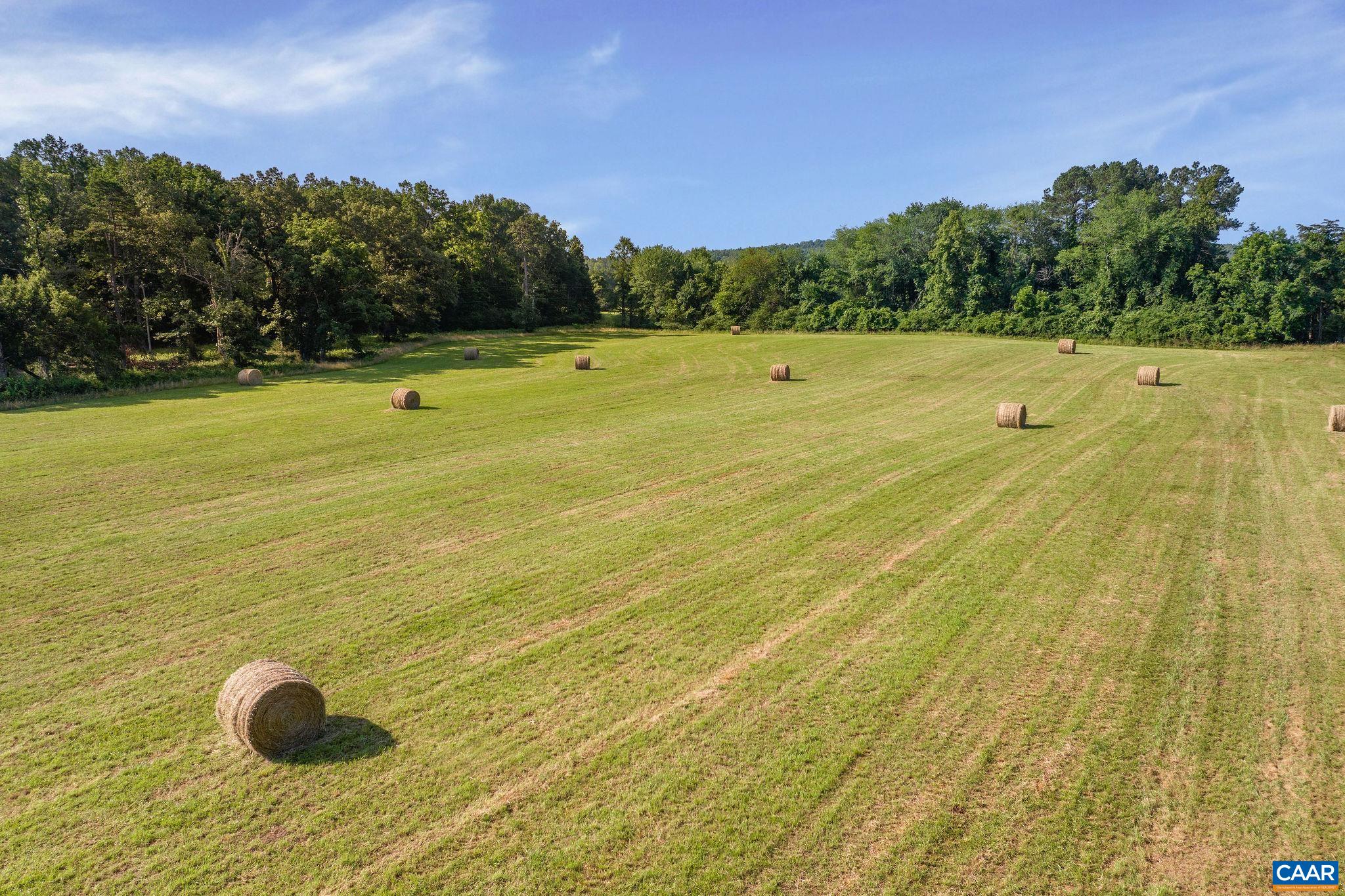 76.99-acres Coles Rolling Road Scottsville, VA 24590 - Photo 13 of 33 a view of swimming pool