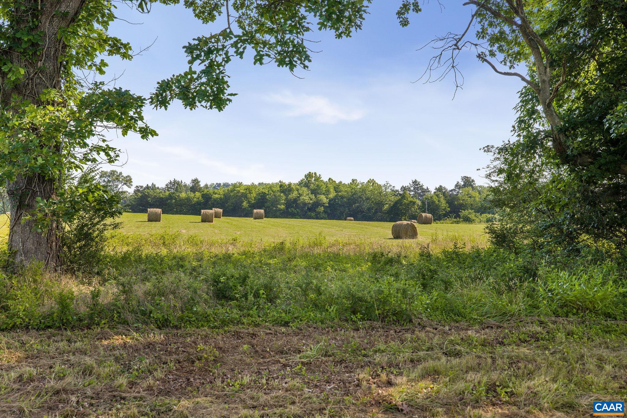 76.99-acres Coles Rolling Road Scottsville, VA 24590 - Photo 15 of 33 a view of a lake from a yard