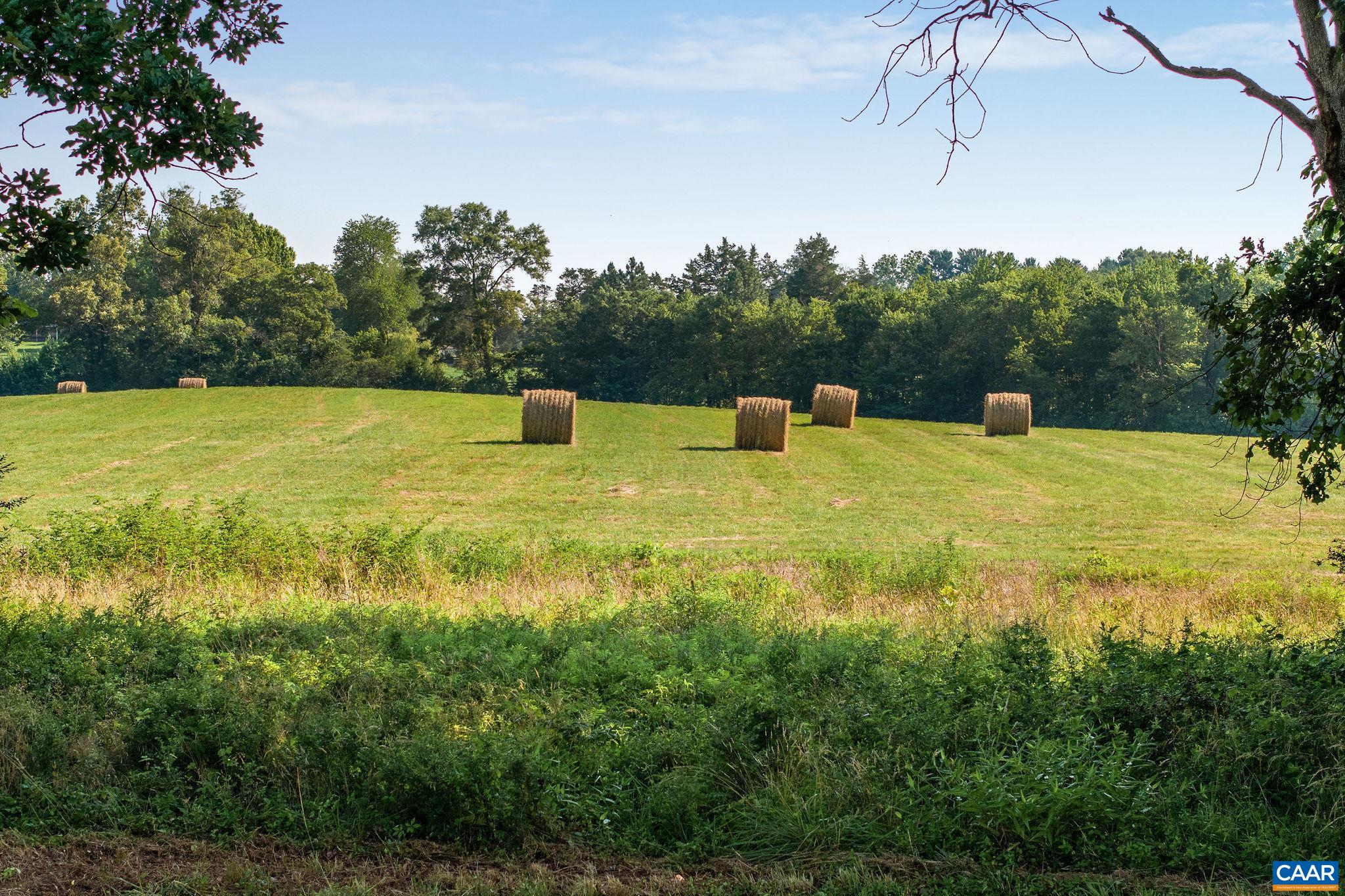 76.99-acres Coles Rolling Road Scottsville, VA 24590 - Photo 16 of 33 a swimming pool with trees in the background