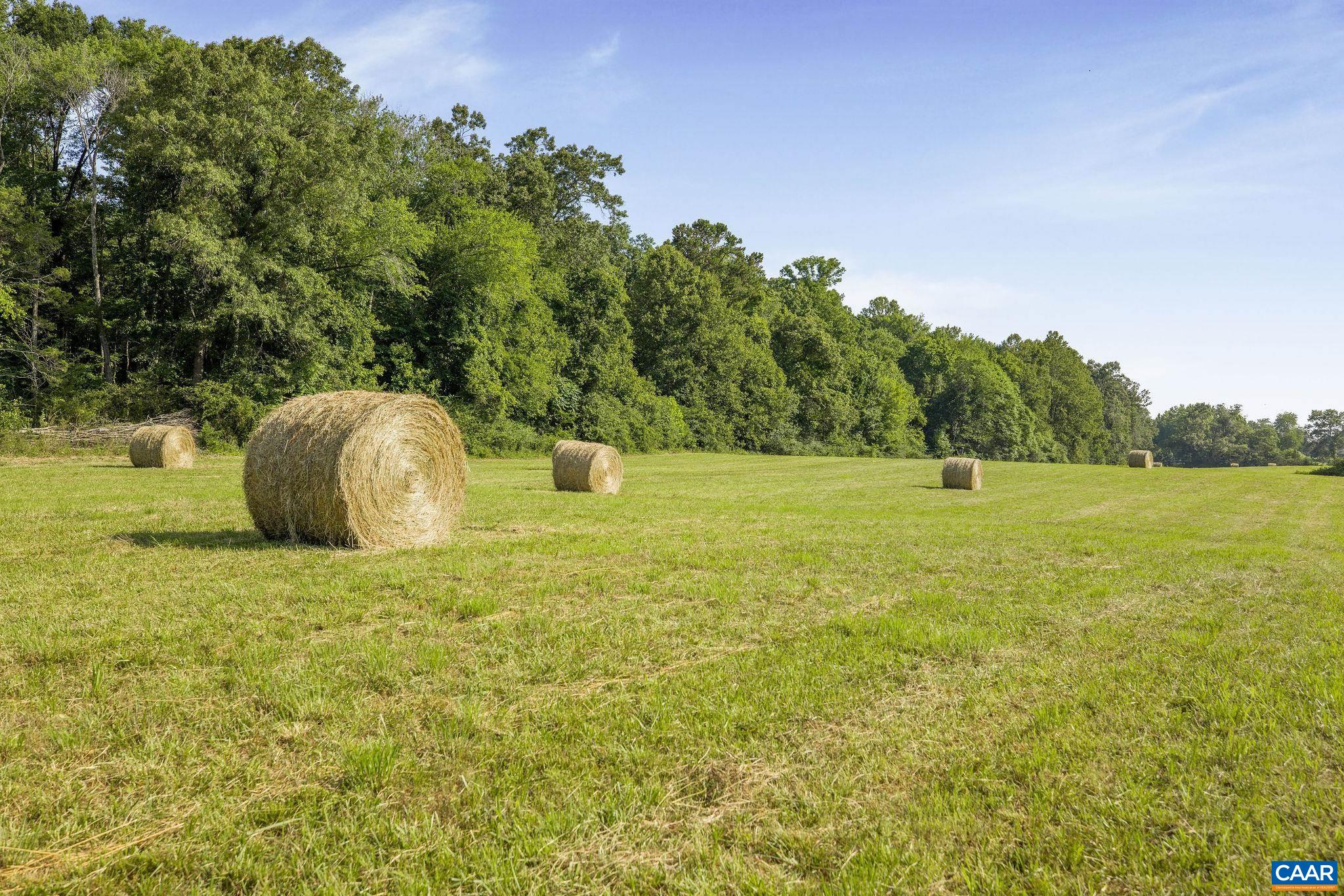 76.99-acres Coles Rolling Road Scottsville, VA 24590 - Photo 19 of 33 a view of a garden with a fountain
