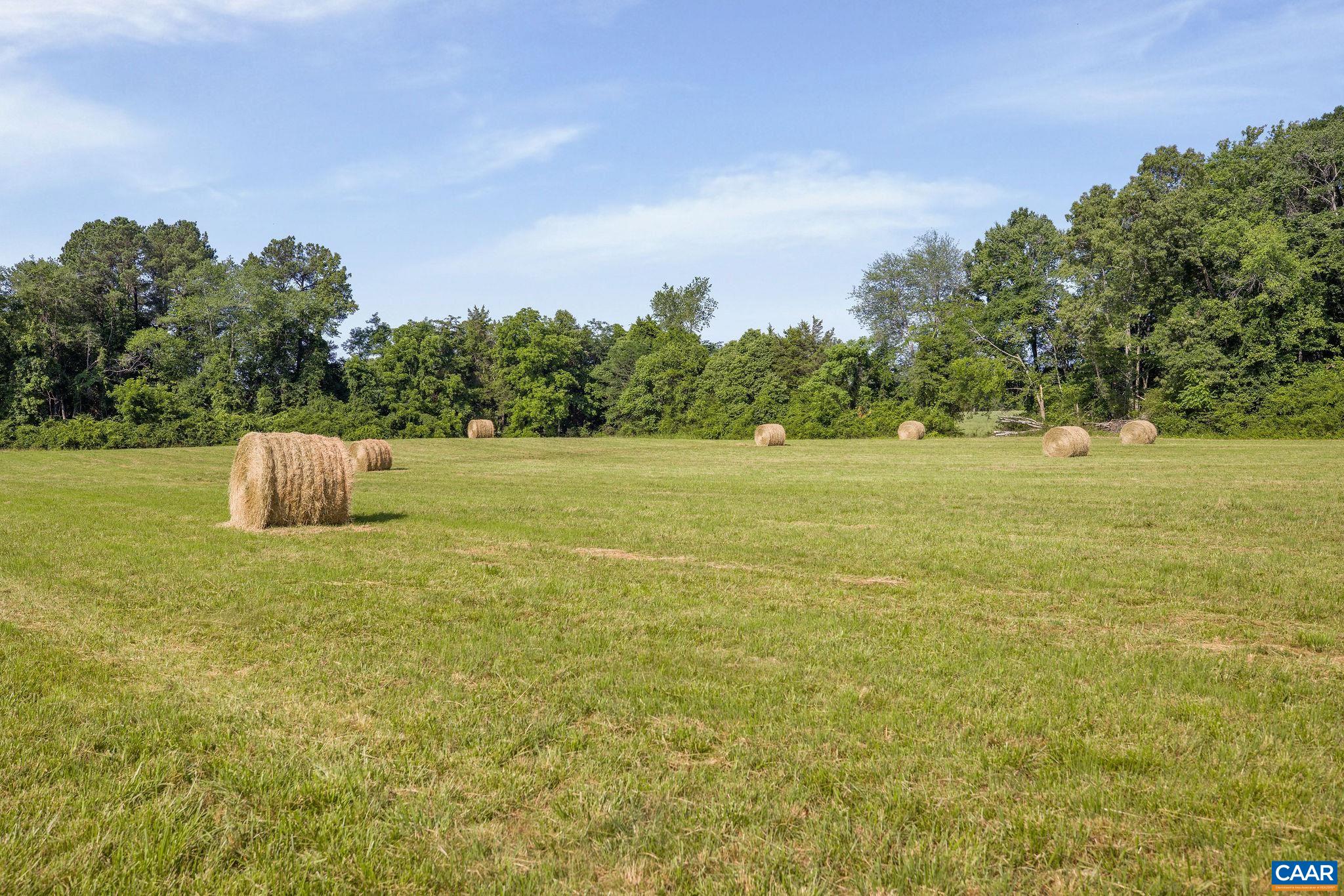 76.99-acres Coles Rolling Road Scottsville, VA 24590 - Photo 20 of 33