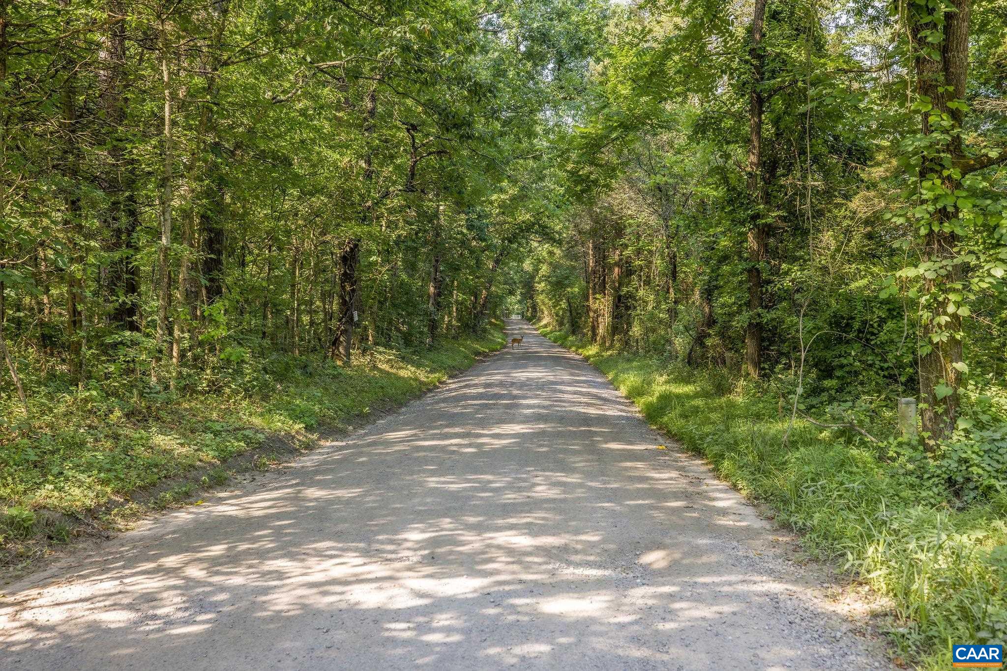 76.99-acres Coles Rolling Road Scottsville, VA 24590 - Photo 26 of 33 a view of a pathway both side of yard