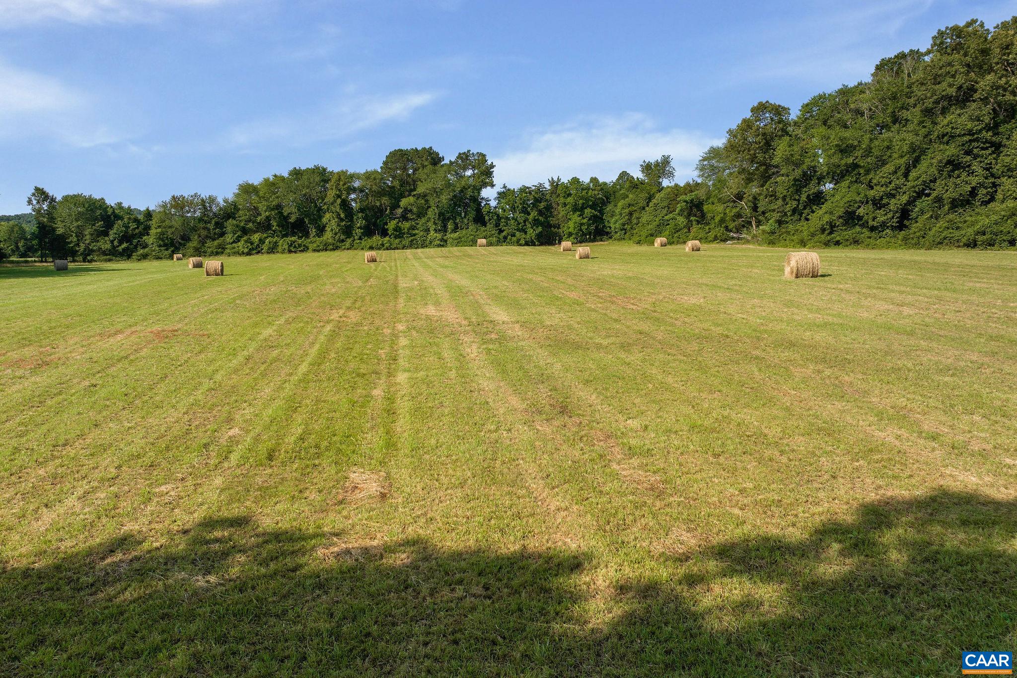 76.99-acres Coles Rolling Road Scottsville, VA 24590 - Photo 27 of 33 a view of yard with trees in the background