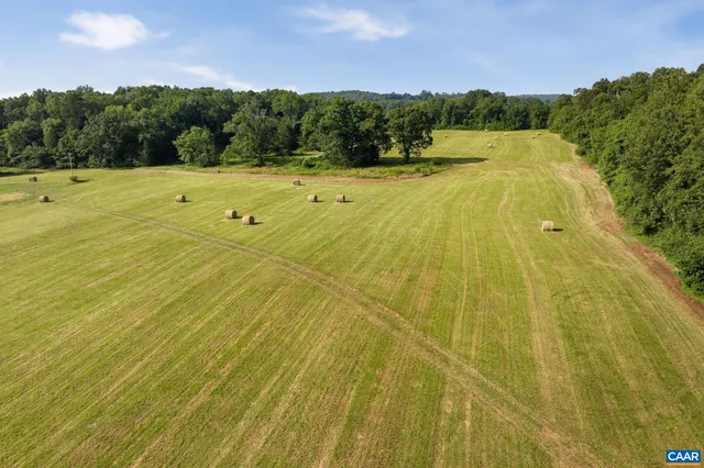 a view of outdoor space with tub and trees