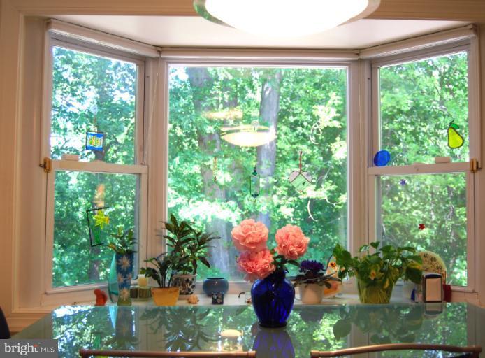 9533 Clement Road Silver Spring, MD 20910 - Photo 22 of 28 Kitchen
