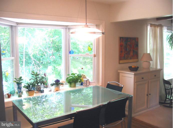 9533 Clement Road Silver Spring, MD 20910 - Photo 8 of 28 Breakfast nook in kitchen overlooks Sligo Creek!