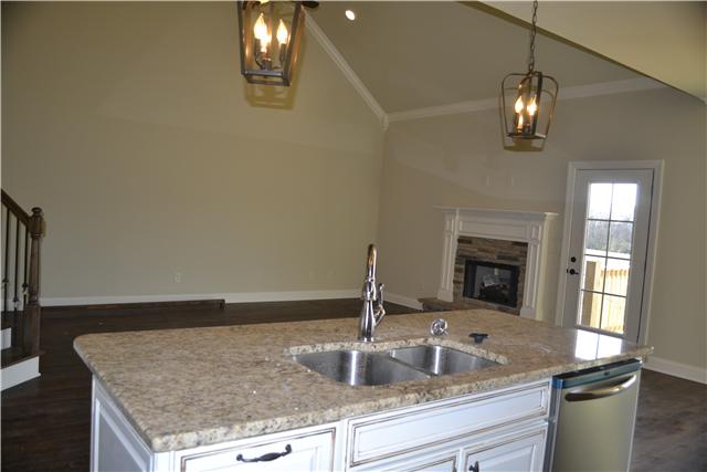 2079 Autumn Ridge Way Spring Hill, TN 37174 - Photo 9 of 19 Living Room