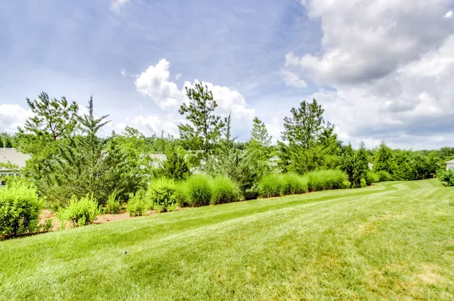 a view of a yard with a fountain