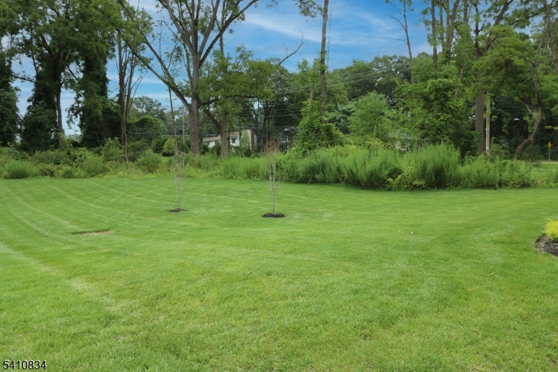 71 Veterans Way Morris Plains, NJ 07950 - Photo 22 of 23 a view of a grassy field
