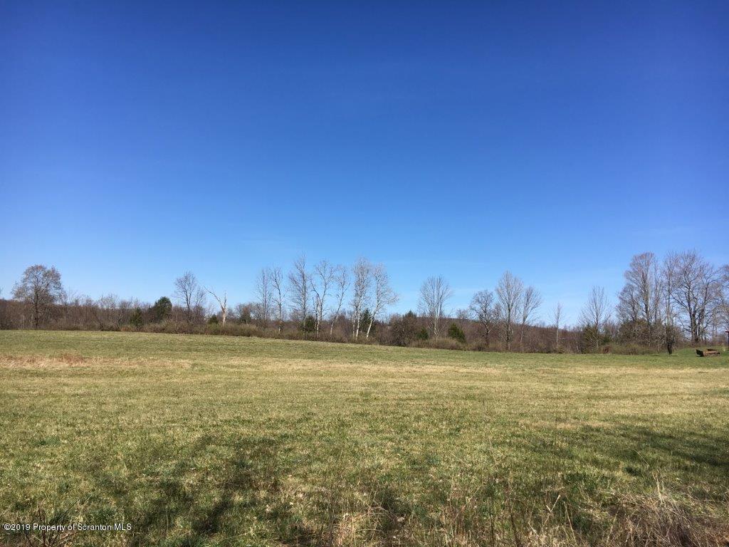 L6 Telep Road Jermyn, PA 18433 - Photo 4 of 5 Open fields (4)