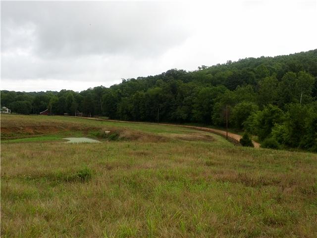 2835 Dunlap Road Duck River, TN 38454 - Photo 14 of 18 Land view with another small pond.