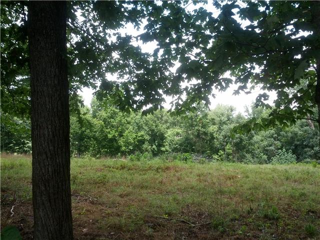 2835 Dunlap Road Duck River, TN 38454 - Photo 16 of 18 Land with Timber.