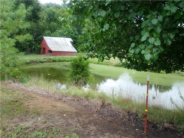 2835 Dunlap Road Duck River, TN 38454 - Photo 17 of 18 Another view of spring fed pond and the barn across the road.