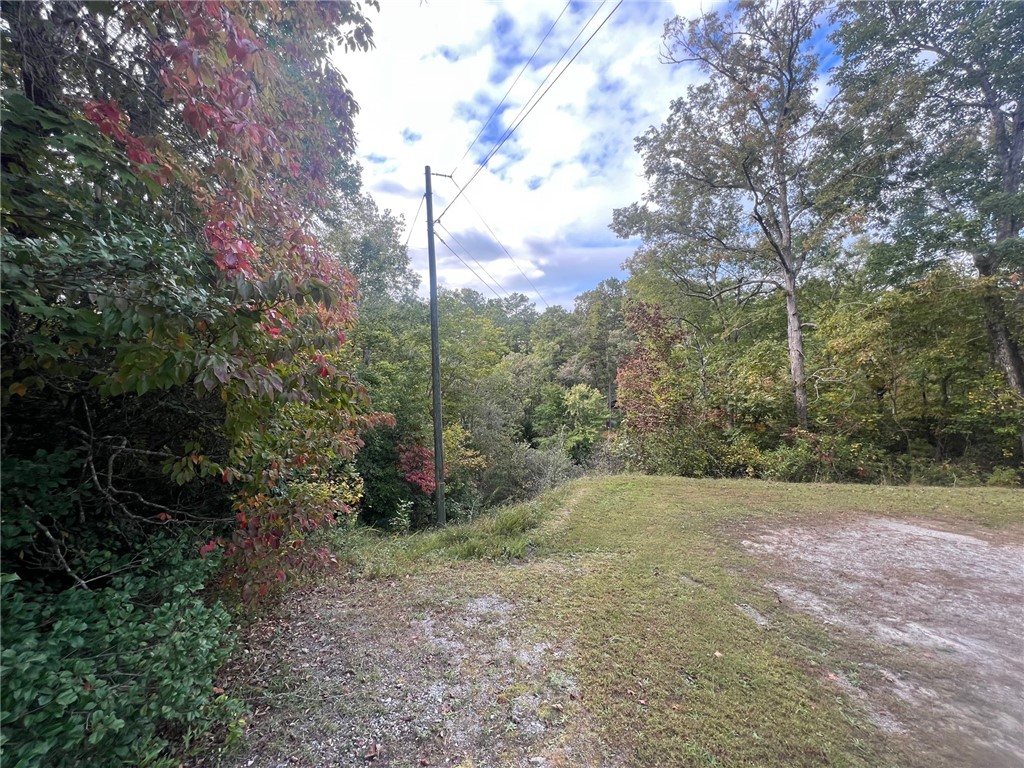 Lot 2 Whitewater Lake Road Tamassee, SC 29686 - Photo 4 of 15 Gallery Image 4