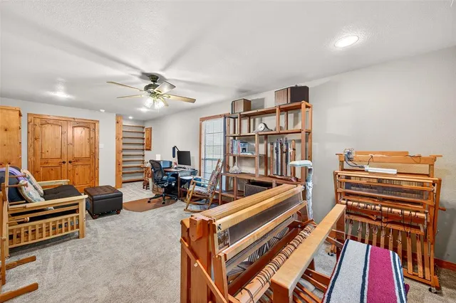 a room with furniture a rug and a book shelf