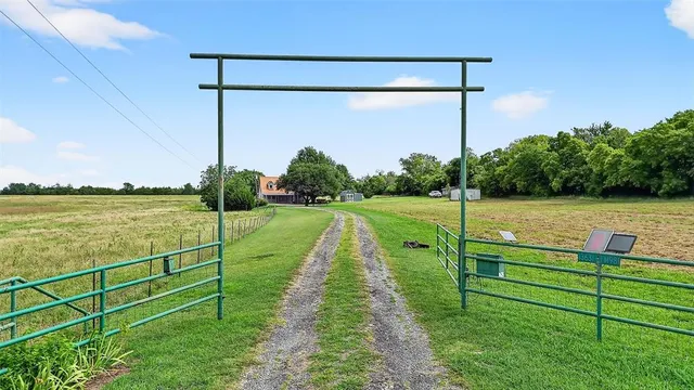 a view of a park with large trees