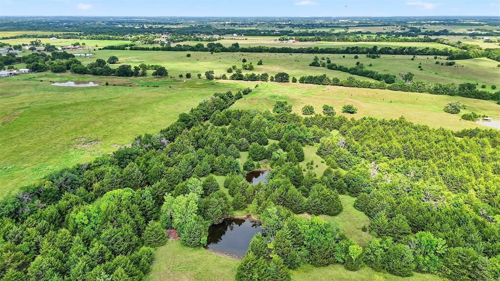 13631 Farm To Market Road 981 Blue Ridge, TX 75424 - Photo 36 of 40 an aerial view of a houses with outdoor space and trees