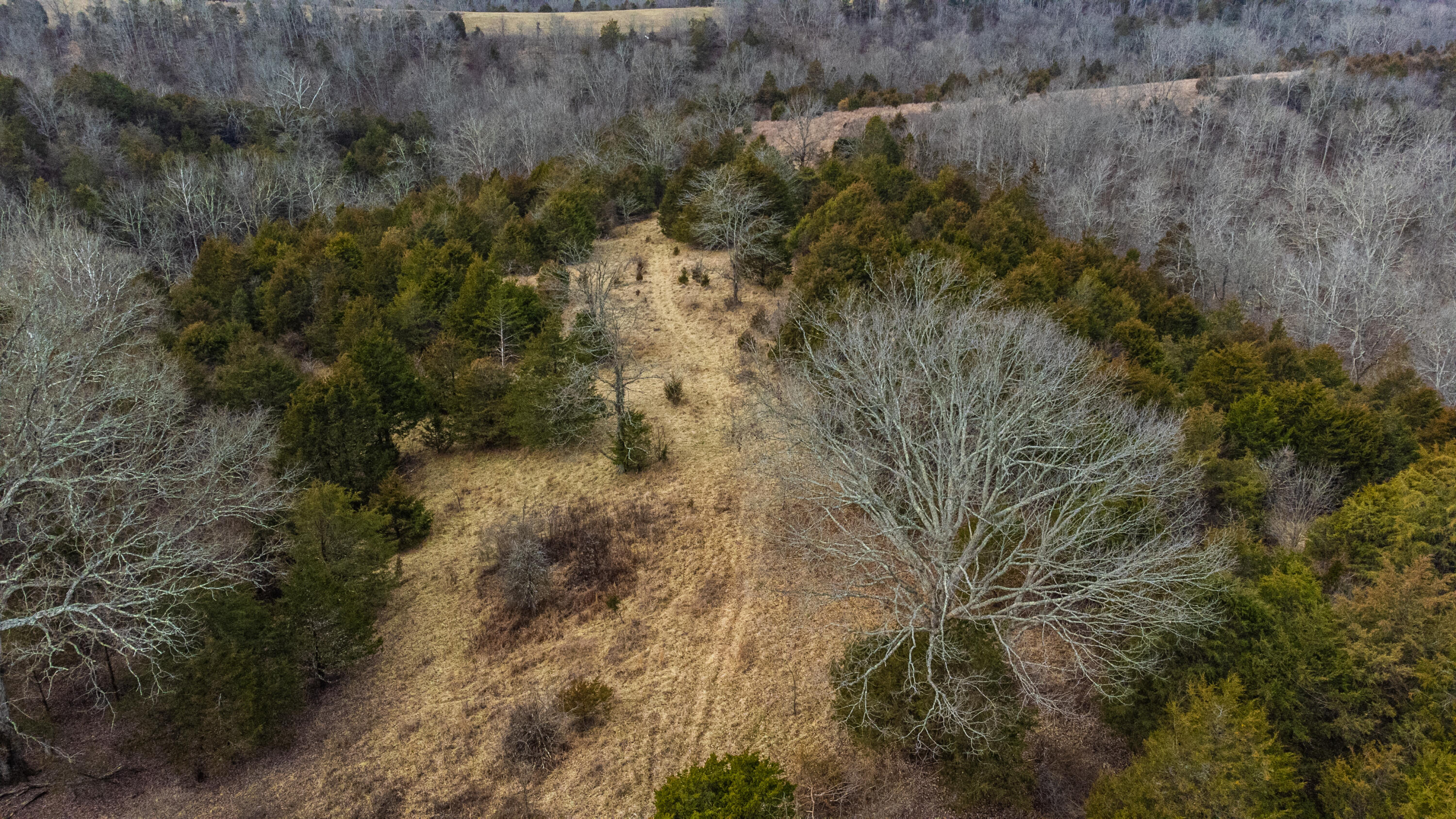 52-ac Ashby Road Lawrenceburg, KY 40342 - Photo 5 of 9 Real Estate - 1366 Ashby Rd (19 of 35)