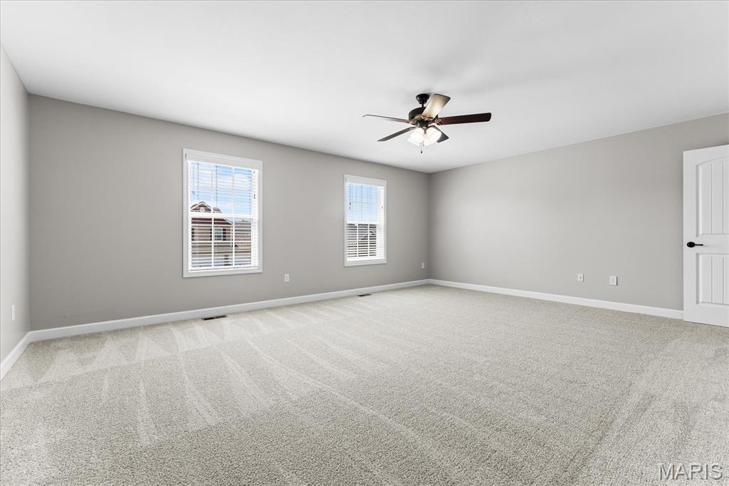 683 Willowbrook Way O'Fallon, IL 62269 - Photo 19 of 43 Gallery Image 19