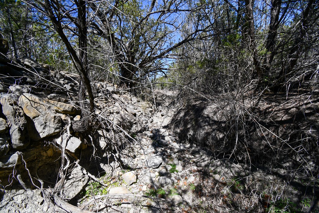 665 Cool Creek Rd Camp, Unit 79 Kerrville, TX 78028 - Photo 10 of 21