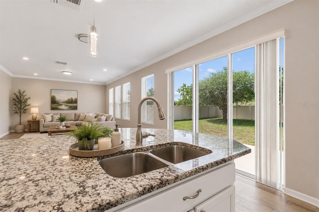 1192 Multiflora Loop Lutz, FL 33558 - Photo 12 of 32 a kitchen with a granite countertop sink and natural light
