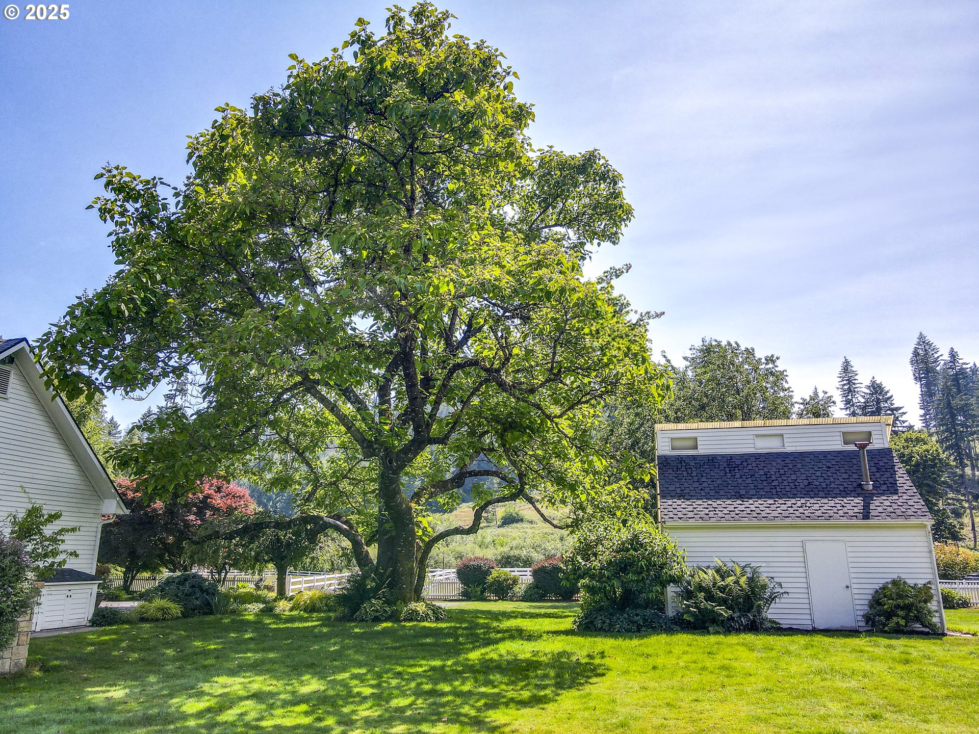 45871 Goodpasture Road Vida, OR 97488 - Photo 39 of 48