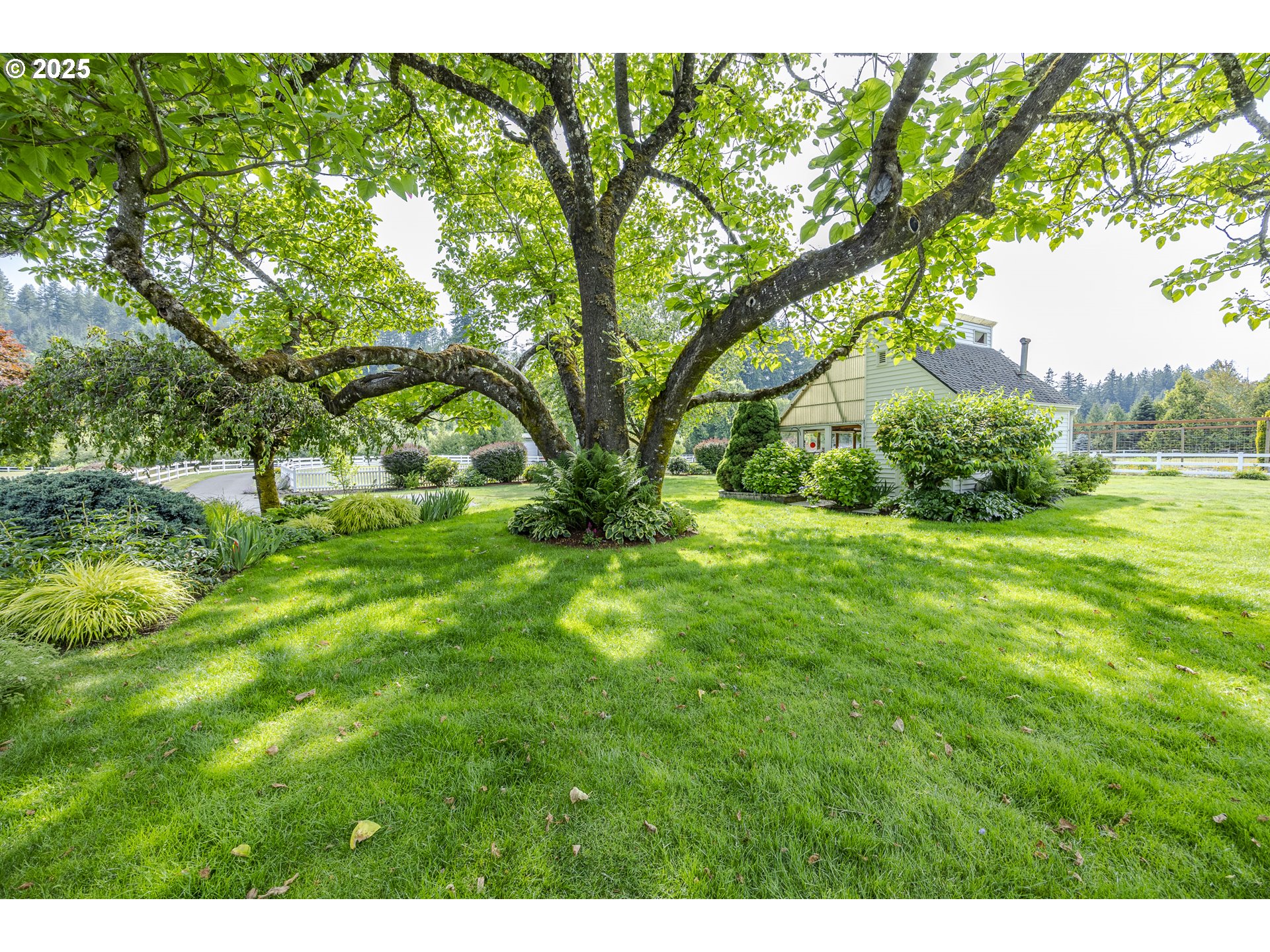 45871 Goodpasture Road Vida, OR 97488 - Photo 40 of 48