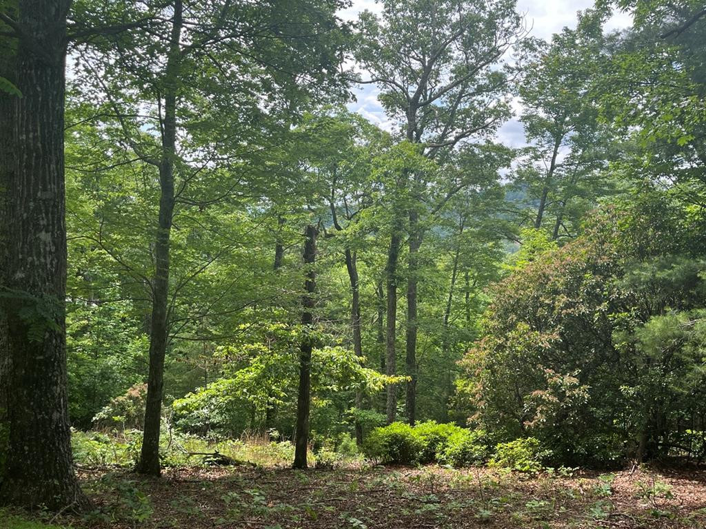 Lot 40 Burger Road Murphy, NC 28906 - Photo 1 of 3 Main View