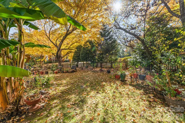 a view of outdoor space and a yard