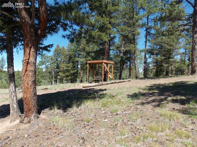 3818 Pathfinder Road Florissant, CO 80816 - Photo 30 of 35 Gallery Image 30