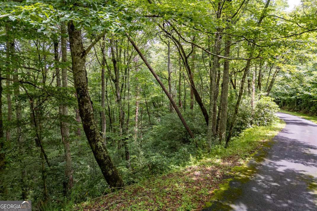 5.74-ac 5.74-ac Hardslate Road Ellijay, GA 30536 - Photo 7 of 11 Gallery Image 7