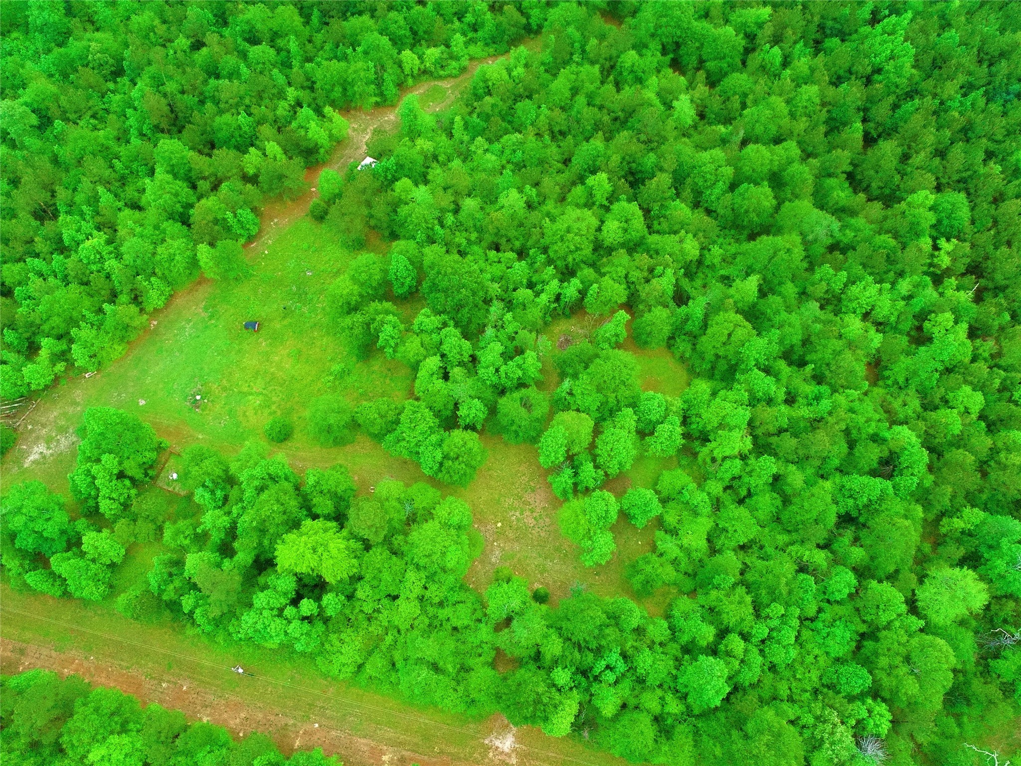 2401 West Geronimo Trail Cleveland, TX 77328 - Photo 11 of 11