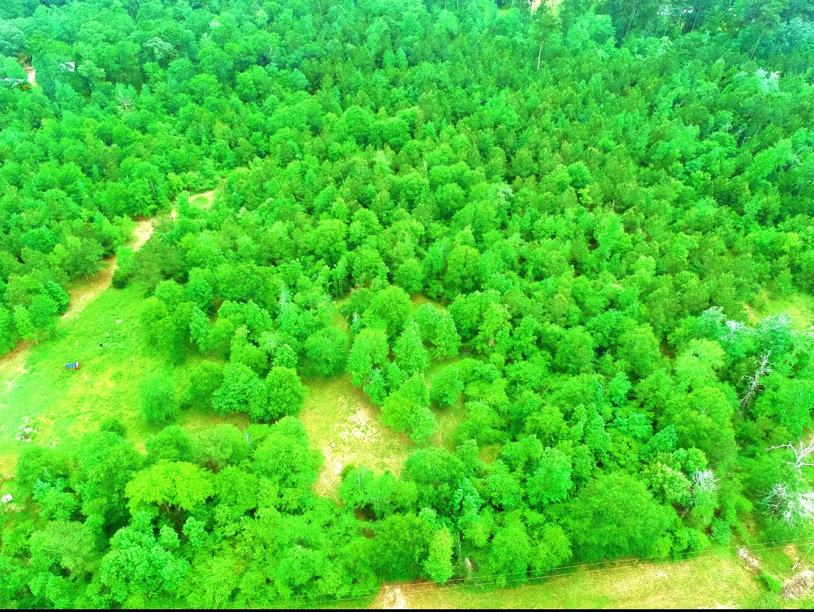 2401 West Geronimo Trail Cleveland, TX 77328 - Photo 8 of 11