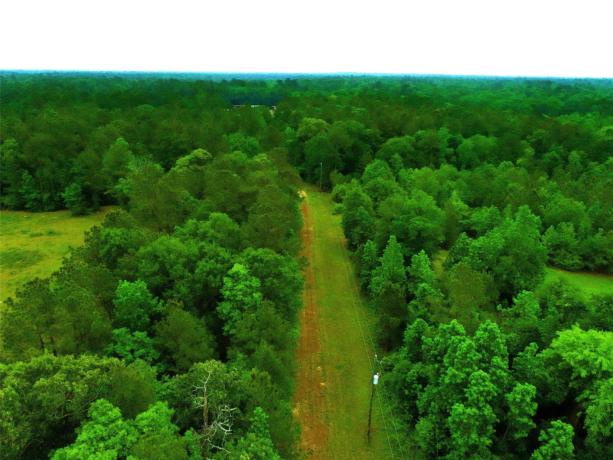 2401 West Geronimo Trail Cleveland, TX 77328 - Photo 9 of 11