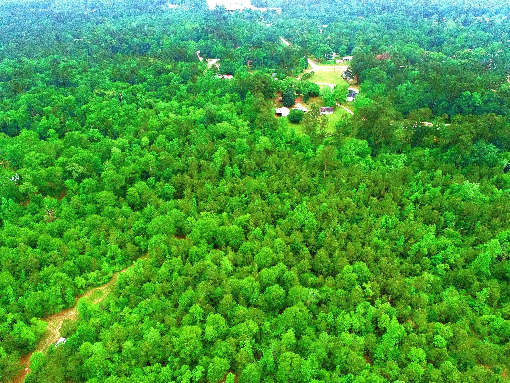 2401 West Geronimo Trail Cleveland, TX 77328 - Photo 10 of 11