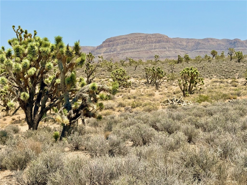 26681 Yucca Meadview, AZ 86444 - Photo 24 of 25 a view of an outdoor space and a mountain view