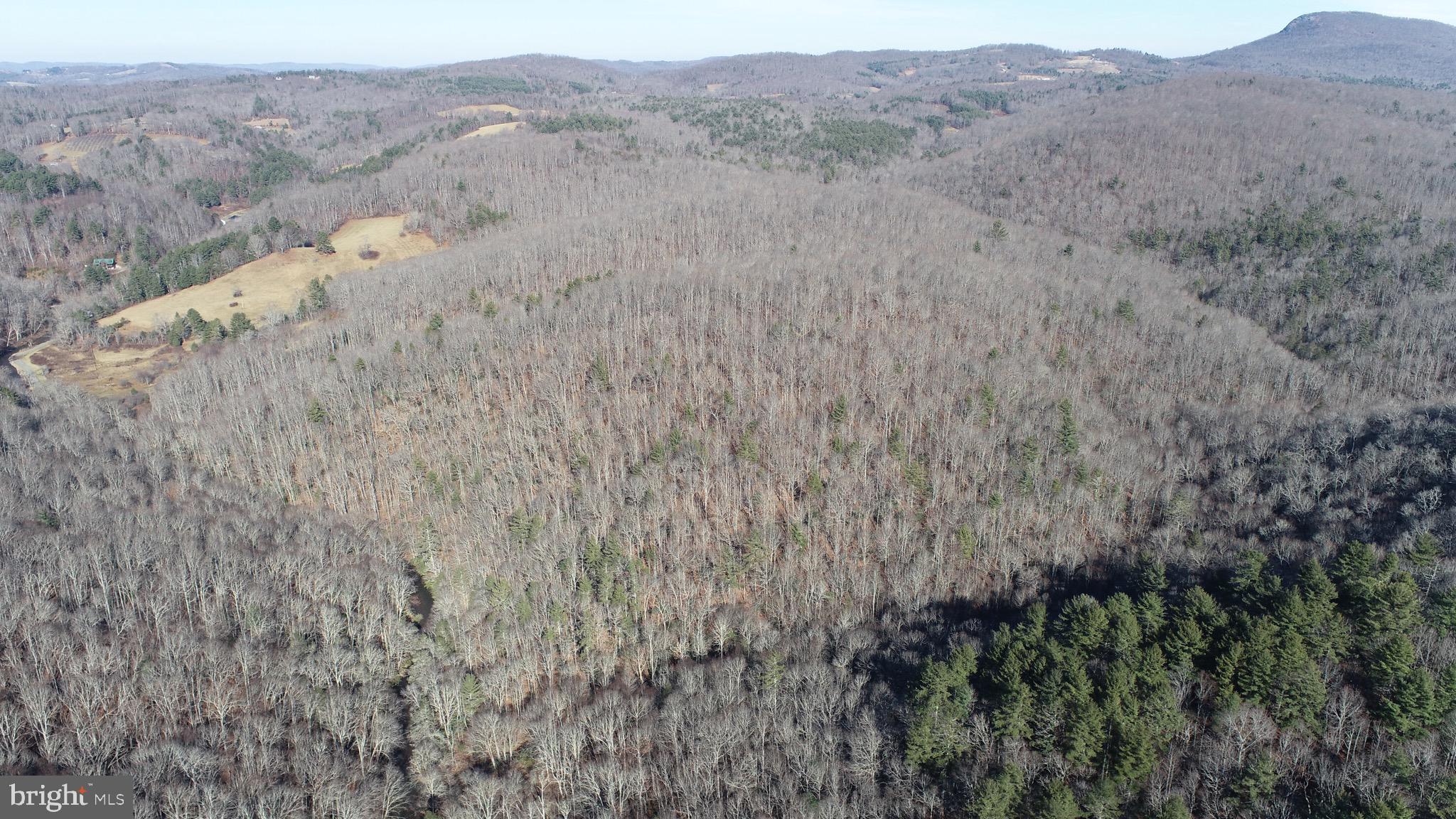 0 Chisholm Creek Road Dugspur, VA 24325 - Photo 15 of 71 a view of a dry field