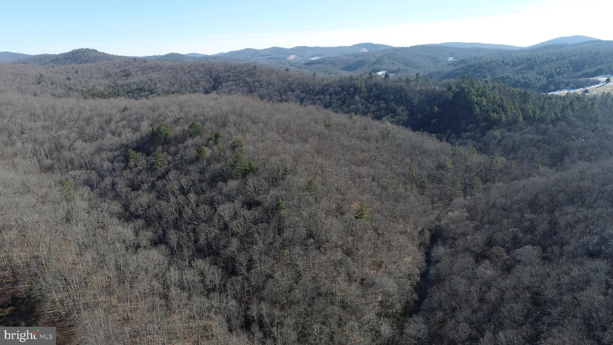 0 Chisholm Creek Road Dugspur, VA 24325 - Photo 34 of 71