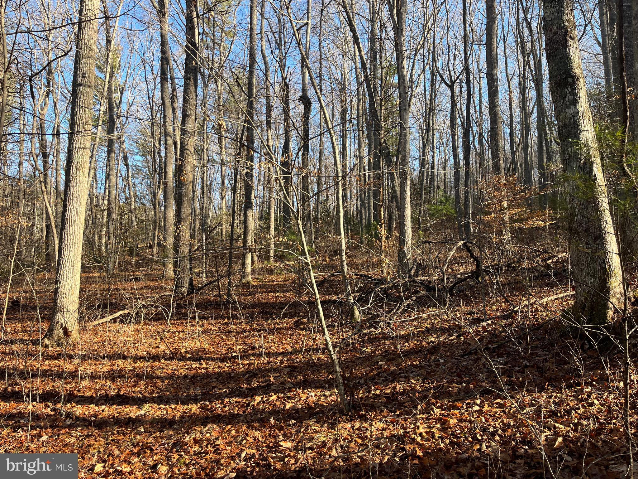 0 Chisholm Creek Road Dugspur, VA 24325 - Photo 47 of 71