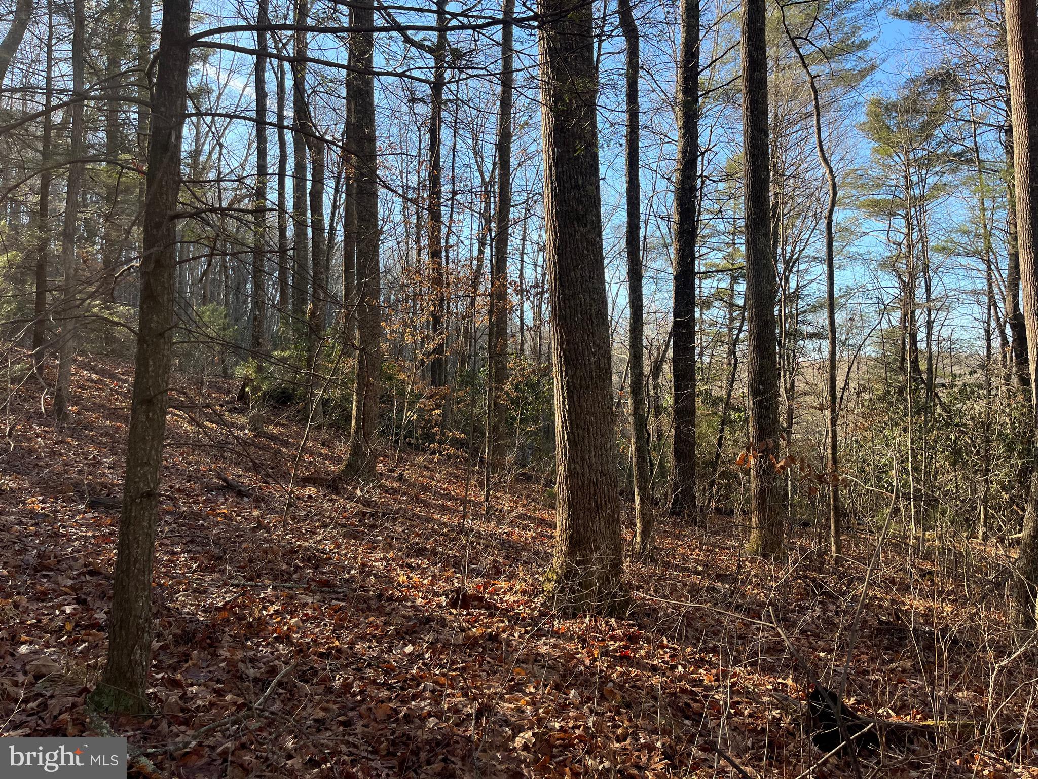 0 Chisholm Creek Road Dugspur, VA 24325 - Photo 49 of 71