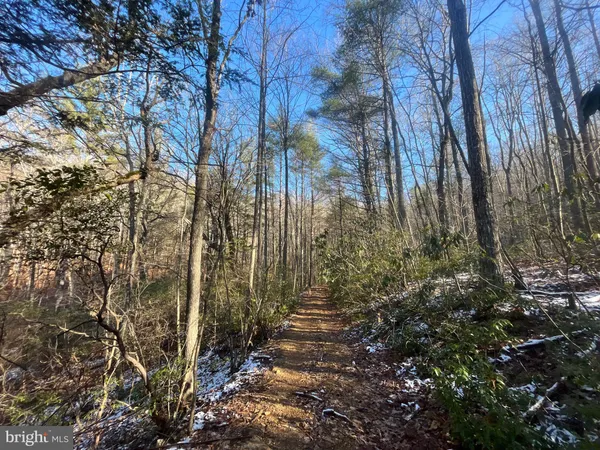 $750,000 | 0 Chisholm Creek Road, Dugspur, VA 24325