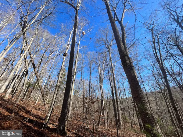 $750,000 | 0 Chisholm Creek Road, Dugspur, VA 24325