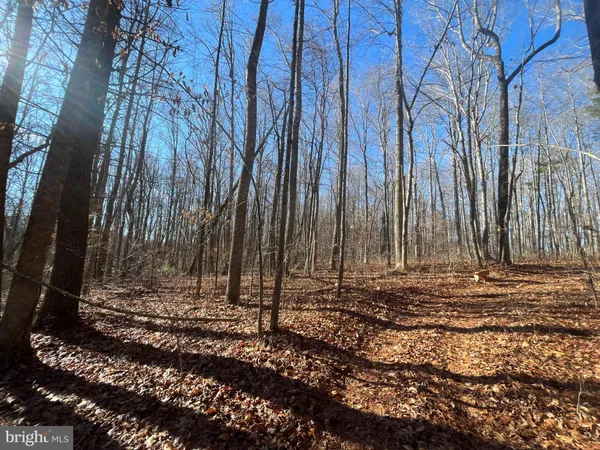 $750,000 | 0 Chisholm Creek Road, Dugspur, VA 24325
