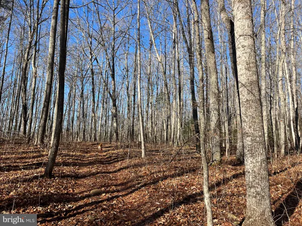 $750,000 | 0 Chisholm Creek Road, Dugspur, VA 24325