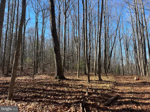 $750,000 | 0 Chisholm Creek Road, Dugspur, VA 24325