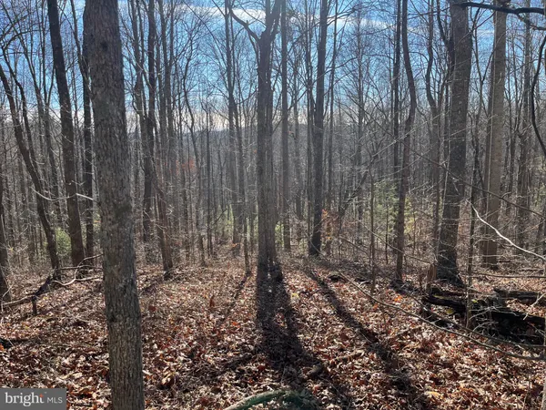 $750,000 | 0 Chisholm Creek Road, Dugspur, VA 24325