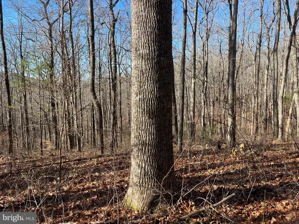 $750,000 | 0 Chisholm Creek Road, Dugspur, VA 24325